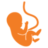 Obstetrics